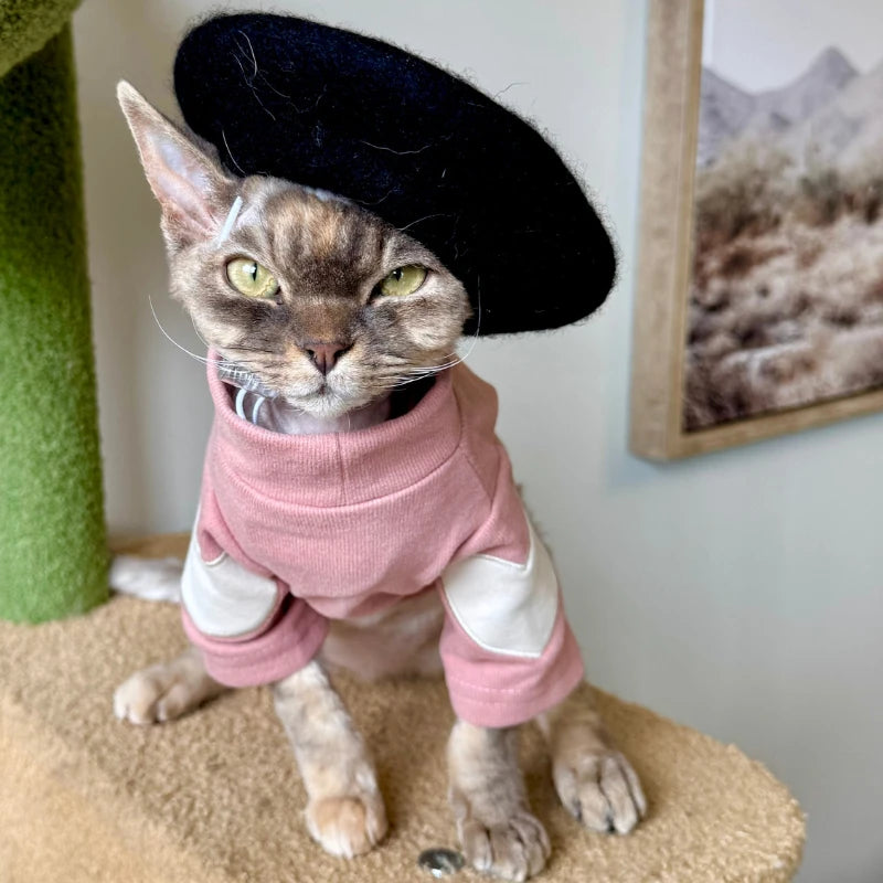 Cat Clothing