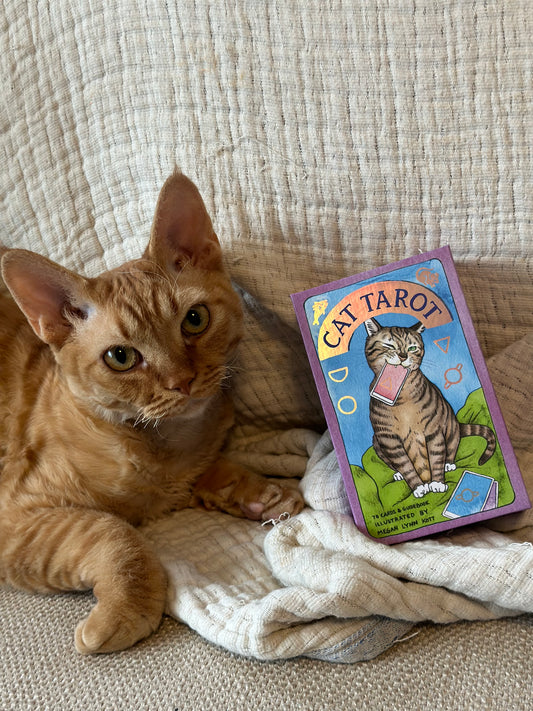 Cat Tarot Deck